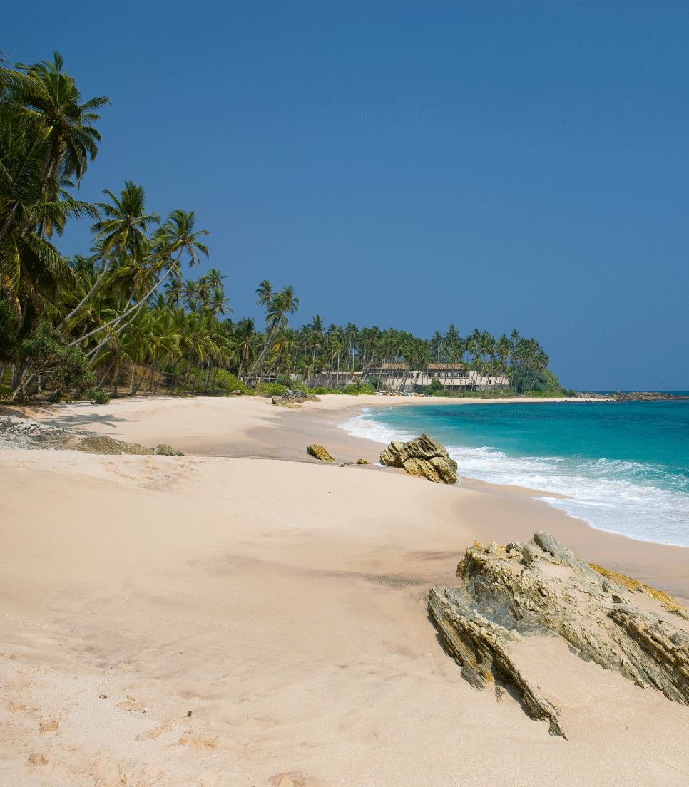 Sri Lanka Strand2