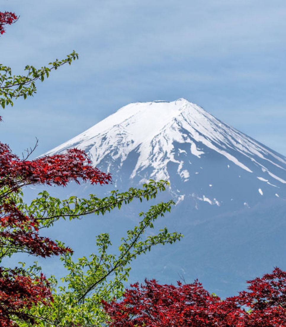 Japan - allg. 800x600 11