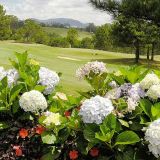 Dalat Palace Golf Club, Foto: © PTA, St. Scherz