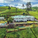 Amaya Langdale - Nuwara Eliya, Foto: © Hotel