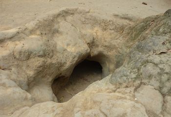 Vietnam - Cu Chi Tunnel 650px