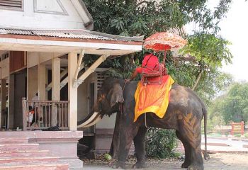 Ayutthaya, Foto: © TangerTravel.de