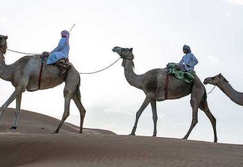 Oman - Desert Nights Camp