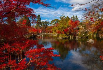 Japan - allg. 800x600 9