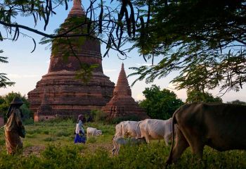 Myanmar - Natur und Menschen Bagan