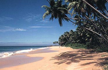 Sri Lanka Beach, Foto: srilanka - Botschaft.de, multimedia/b