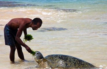 Sri Lanka - Foto: Sri Lanka Tourism Promotion Bureau