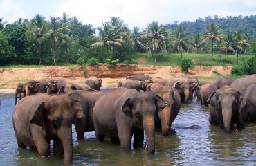 Sri Lanka - Foto: Sri Lanka Tourism Promotion Bureau
