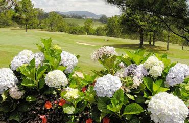 Dalat Palace Golf Club, Foto: © PTA, St. Scherz