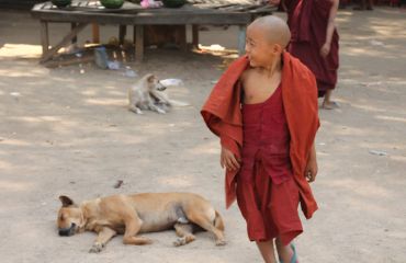 Myanmar junger Mönch © www.golfasien.de