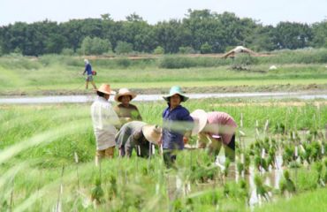 Sukhothai Heritage Resort, Foto: © Hotel