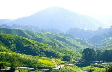 Cameron Highlands, Foto: pixabay