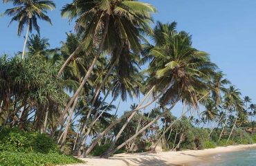 Golfreisen Asien, Foto: Pixabay, Sri Lanka