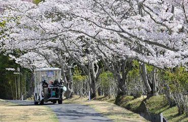 Kyoto GC Funayama Course, Foto: © Golfplatz