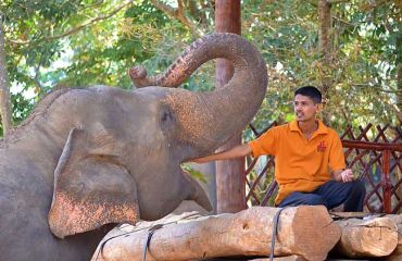 Pinnawala-Elephant-Orphanage,Sri Lanka, Foto: Pixabay