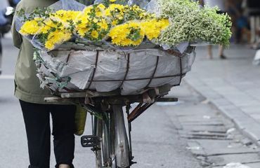 Vietnam - Foto Fahrrad mit Blumenkorb © pixabay