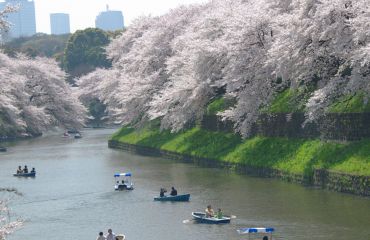 Japan Foto: © pixabay