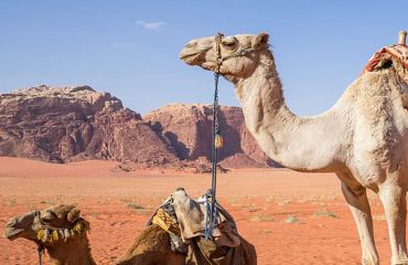 Jordanien - allgemein und Wadi Rum: © pixabay