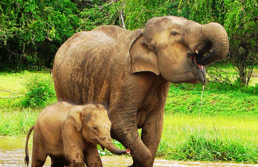 Sri Lanka:Foto © TourismITB15