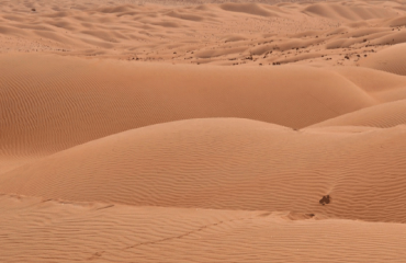 Oman Wüste Foto: © Bild von Annso El Sayed auf Pixabay