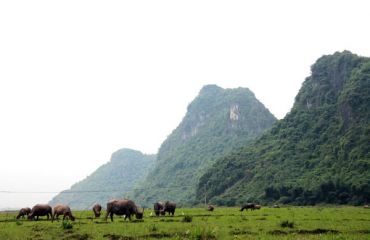 Trockene Halong Bucht, Foto: © GolfAsien.de