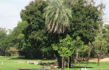 Bombay Presidency Golf Club, Foto: © Golfplatz