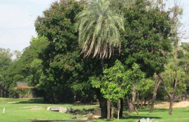 Bombay Presidency Golf Club, Foto: © Golfplatz