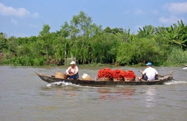 Mekong Delta - Foto: golfasian