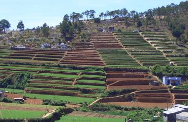 Dalat, Gemüseterrassen - Foto: Alice Stoecklin / wikipedia