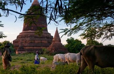 Bagan, Foto: © S.Scherz