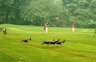 Delhi Golf Club, Foto: © Golfplatz