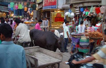 Delhi Basar, Foto: Wikipedia.de, user Guety