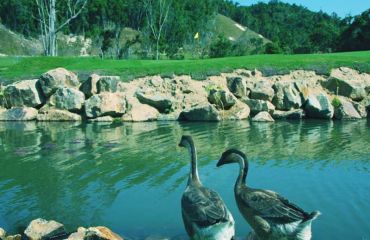 Forest Valley Golf Club, Foto: © Golfplatz