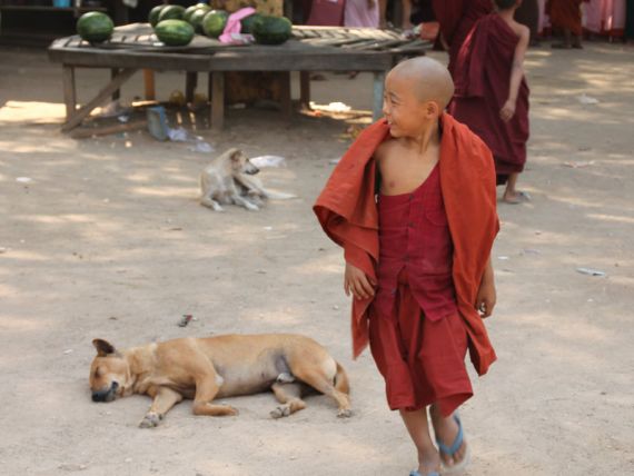 Myanmar junger Mönch © www.golfasien.de